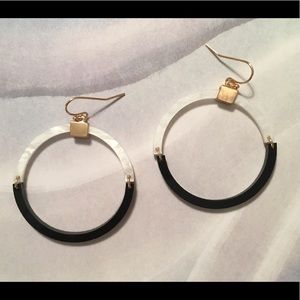 Acrylic 2 Color Hoop Earrings